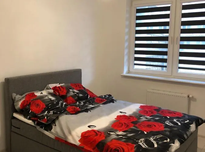 Aquasfera דירה רדה